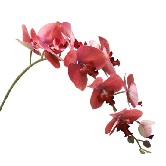 Eco-friendly Artificial Flower Realistic Great Ornamental Simulation Phalaenopsis