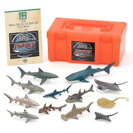 Colorata 3D Encyclopedia Sharks and Their Kinsets Figures types with instruction booklet and Realistic Toy Birthday Gift Present Sanitation Law