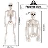 40CM Movable Joint Skeleton Prop – Halloween Hanging Decoration for Haunted House & Escape Room