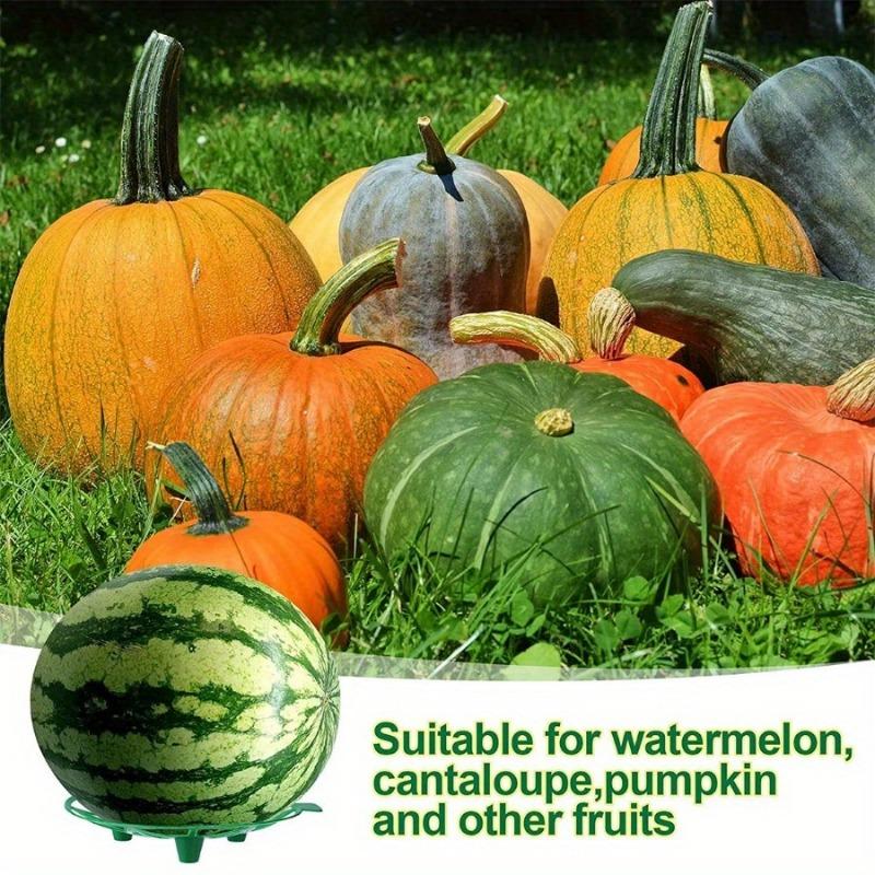 20 шт. опора для тыквы, держатель для клубники, защищает арбузы от гниения земли, выдерживает до 8 фунтов
