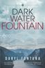 Книга Dark Water Fountain : Navigating Cultural Chaos