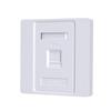 FiberHome Cat6/Cat5e Dual-Port Network Wall Plate