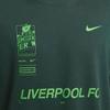 Nike Liverpool Graphic Print Short Sleeve Football Shirt Men Tops Professional-Green FQ1545-397