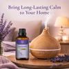 Carno Calm Organic Lavender Essential Oils for Skin 100% Pure Lavender Oil | for Hair Aromatherapy Relaxation Sleep Skin Diffuser | 30ml