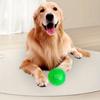 Interactive Squeaky TPR Bite-resistant Bouncy Balls Pet Toy Bright Colors Outdoor Training For Dog and Cat 1Pcs Soft Burr Teeth Cleaning  Handmade