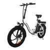 Avaka BZ20Plus Integrated Wheel Electric Bicycle Adult 500W  Motor 48V2AH City Riding E-Bike 20'' Tire Electric Bike