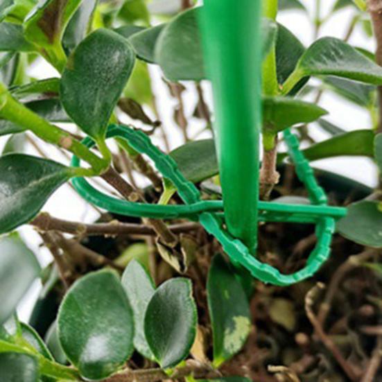 Регулируемые садовые стяжки, многофункциональные гибкие пластиковые стяжки-молнии, стяжки для организации кабелей, садовые опоры для растений, для вьющихся растений, кустарников