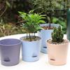 Кашпо для суккулентов Воздухопроницаемый цветочный горшок Съемное дно Абсорбирующий цветочный горшок Новый цветочный горшок