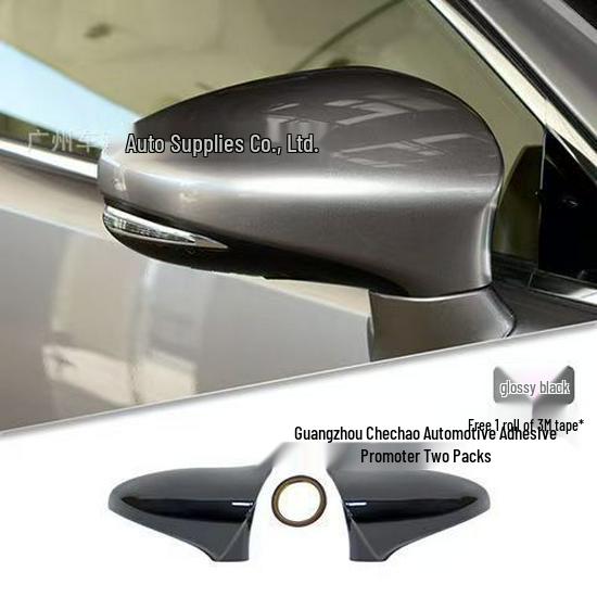 Lexus CT200 Rearview Mirror Carbon Fiber Shell (09-22)