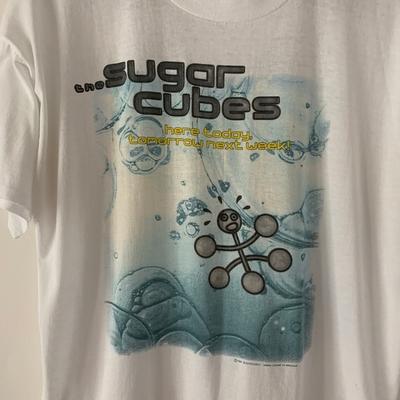 Футболка The Sugarcubes Band White On Stage Хлопок Унисекс TH32 Унисекс Футболка