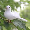 Artificial Simulation Peace Dove Foam Feather Birds Wedding Crafts Ornament