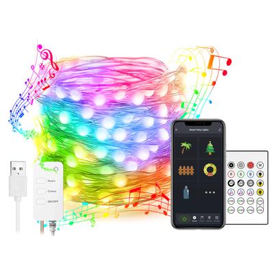 Wi-Fi BT Smart USB Медный провод Светодиоды Гирлянда 16 миллионов цветов Приложение Голосовое управление RGB