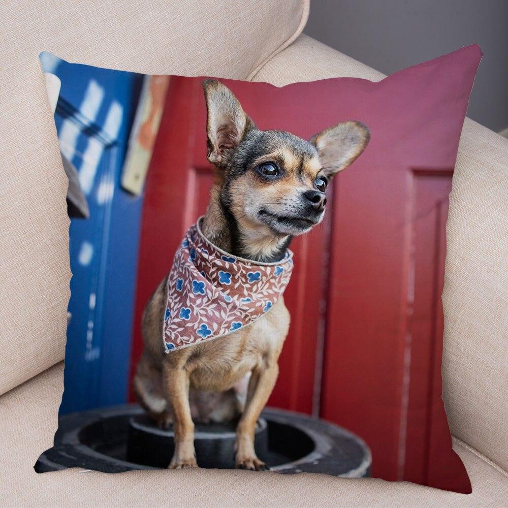 Cute Pet Animal Pillowcase Decorative Cute Puppy Chihuahua Pillowcase Soft Plush Cushion Cover for Car Sofa Home 45x45cm