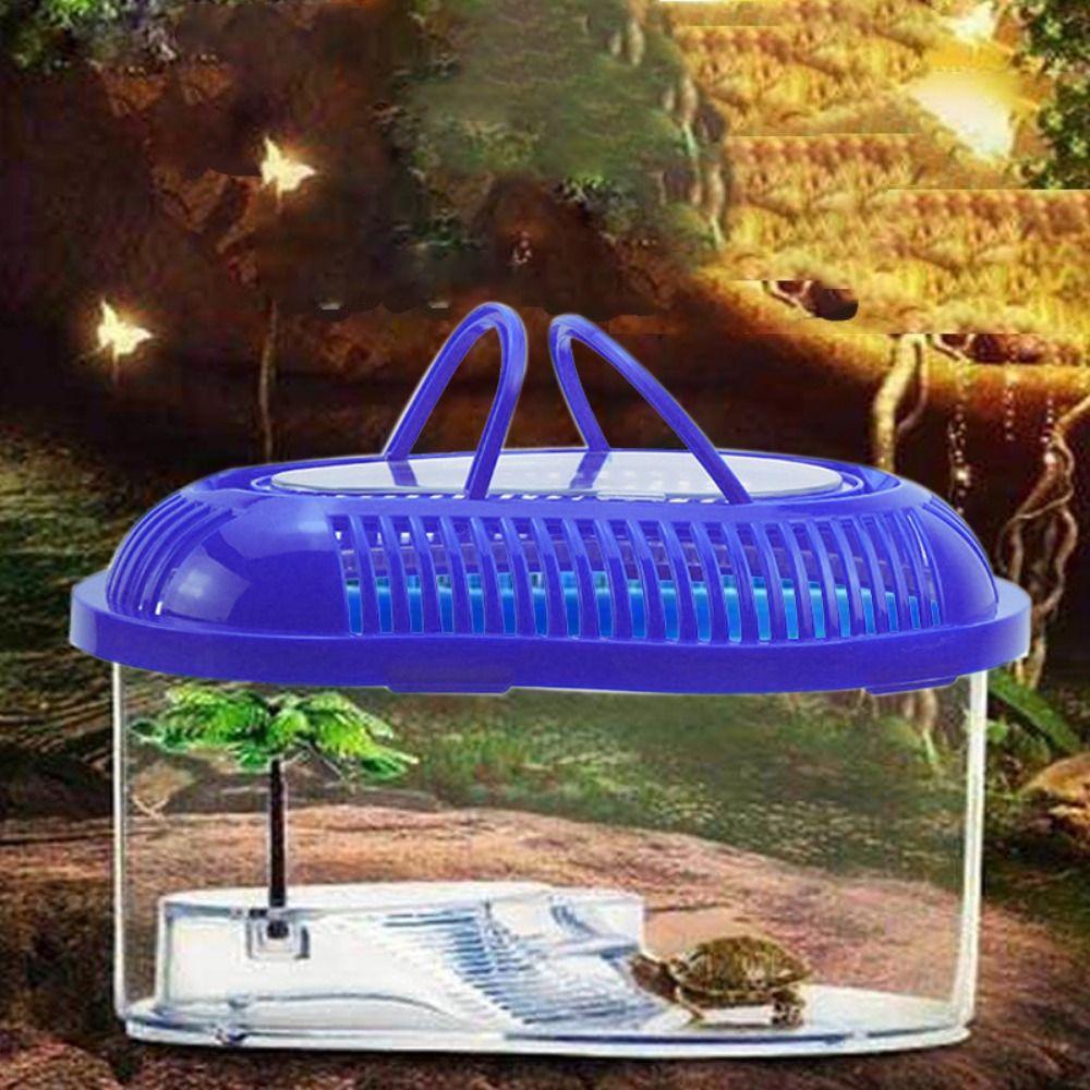 1PC Plastic Goldfish Feeding Box Household Spider Jar Turtle Tank Reptile Container Turtle Habitat