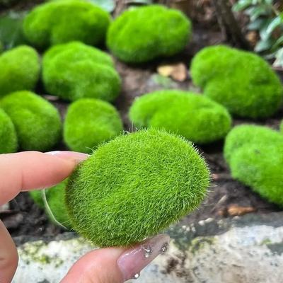 10 шт. Искусственные Пенопластовые Камни-Мох Имитация Зеленого Мха Камень Микро Пейзаж DIY Поделки Украшение Цветочного Горшка для Дома и Сада