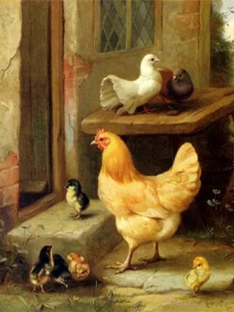 Алмазная картина курица полный круг квадрат 5DDIY алмазная вышивка животное крест вышивка набор мозаичное искусство украшение дома