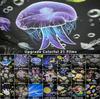 21 фильм Детская комната Звездный проектор Ночник с вращением Праздничный подарок Декоративный светильник Подключается к сети