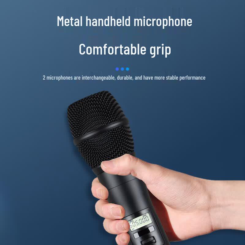 HDCON HT-P220S5 Professional UHF Handheld Dual Wireless Microphone System (CN version)