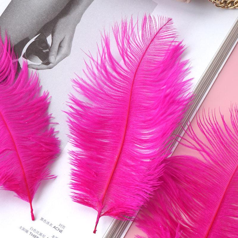 Colored Camel Bird Fur 15 -20cm Wedding Ornament Net Red Wall Decorative Feather Wall Hand Blooming Flowers Diy Dream Network Material