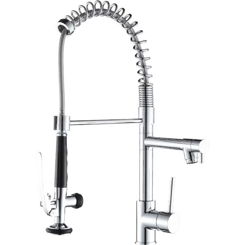 TLXT Kitchen Pull-out Spring Faucet