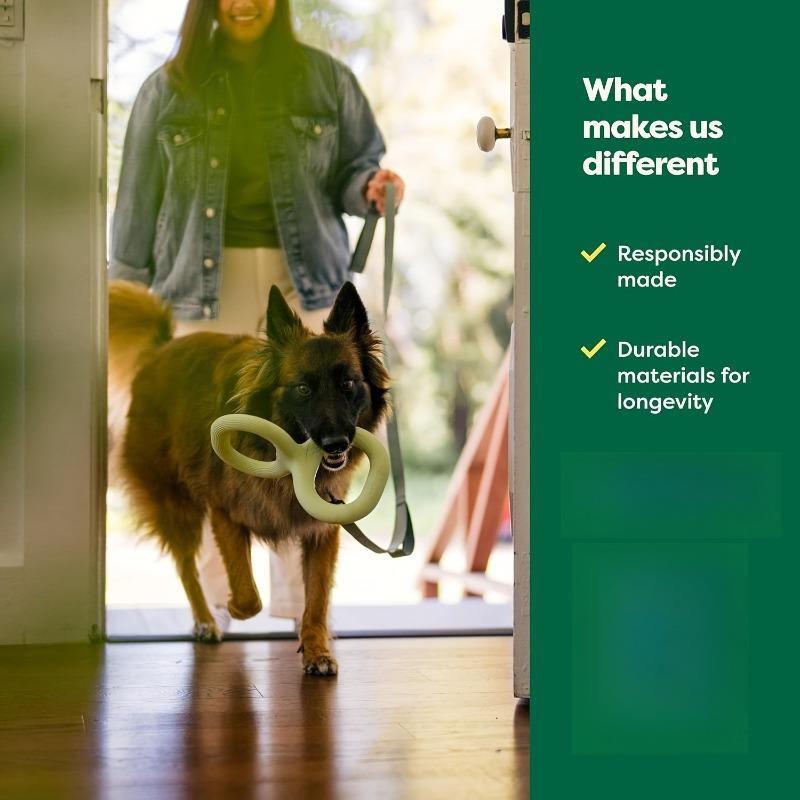 Игрушка Earth Rated для перетягивания для собак и щенков, Интерактивные игрушки для перетягивания для собак, Эргономичная рукоятка, Натуральная резина, Маленькая, Зеленая