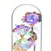 Forever Preserved Rose Gift for Women Wife Mom Colorful Light Up Rose in A