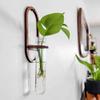 Wooden Test Tube Rack Wall Mounted Flowers Plants Holder Stand Home Office Classroom