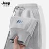 Мужские повседневные джоггеры свободного кроя JEEP SPIRIT