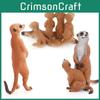 Realistic Pvc Mongoose Animal Model Toy For Kids Learning Decorations Gifts