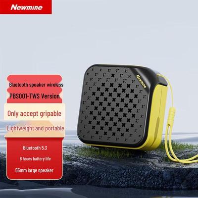 Newmine PBS001 TWS Портативная Bluetooth-колонка CN-вилка (адаптер в комплекте)