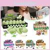 Dino Egg Dig Up Mining Kit Perfect For Kids Stem Projects And Educational Activities