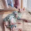 Сфинкс Кошка Водолазка Зимний Зеленый Свитер Бесшерстная Кошка Одежда Толстый Теплый Четырехлапый Пальто Фиолетовая Флисовая Куртка для Девон Рекса