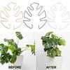Plant Stem Support Metal Monstera Clamp Plant Support Plant Stem Holder Monstera Stabilizer Grapple Holder for Climbing Plants