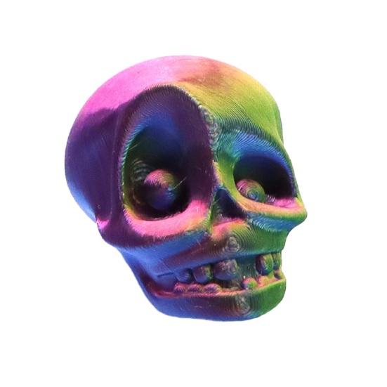 Durable Skull Decor for Party 2 Pcs Fridge Magnets, Vintage Skeleton Gothic Refrigerator Cool Creepy Magnets Holiday Decorative Locker, Whiteboard,
