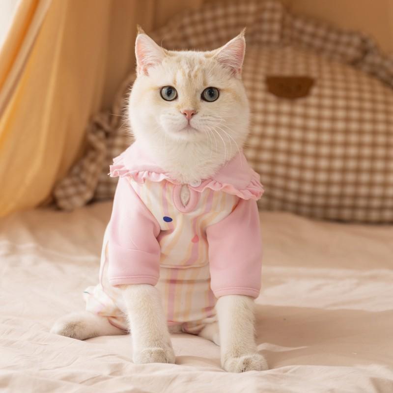 25th Warm Bear Striped Four-Legged Cat Clothes Kittens Adult Cats Devon Rex All Breeds