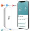 Термогигрометр AAA*2 Датчик влажности Smart Wifi