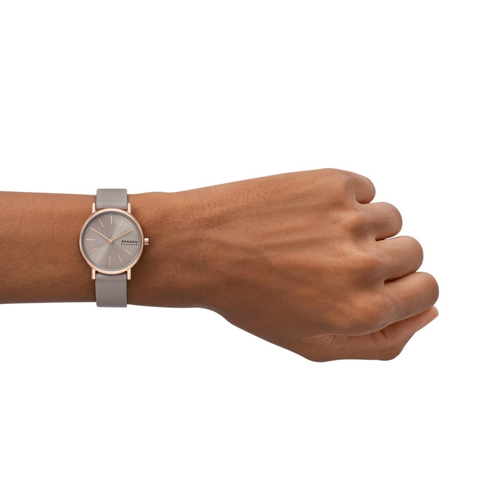 Часы SIGNATUR LILLE SKW3060 Серые [Skagen] Женские