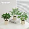 Nordic Small Potted Plant Decor - Indoor Bonsai & Bionic Greenery for Office or Living Room.