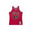 Mitchell & Ness НБА Майкл Джордан Чикаго Буллз 1994/95 Джерси №45 Мужской AJY4LG19008-CBUSCAR94MJO