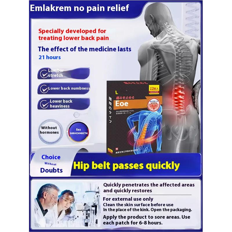 Japanese-Style Lumbar Support Patches (12 Pieces)