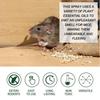 Kitchen Gadgets Rat Repellent Spray Rat Repellent Spray For Indoor Household Automotive Engine 60ml