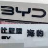 Для BYD Seal EV DMi 5 06 GT 7 2025 Почерненный Эмблема Передняя Задняя Значок Наклейка Черный Воин Чехол Этикетка Аксессуары
