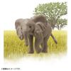 Takara Tomy Ania Elephant Animal Dinosaur Toy for Ages 3 and Up AC-02 (Children's)