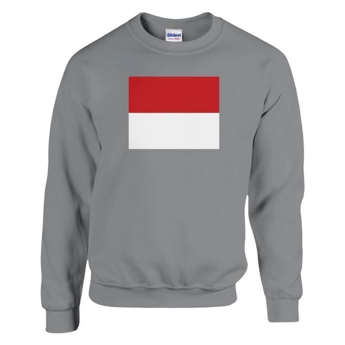 Толстовка - PIXELFORMA - Drapeau de Monaco - Gris - Manches longues - Col classique