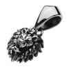 Lion Head Pendant Fp0605 [Silver Accessory]