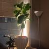 2 Pack 5W Spotlight Aluminum Alloy Display Lighting Energy Efficient Uplight Fixtures  For Plants