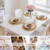 Round Placemats and Coasters Set of 1/6 Round Braided Woven Place Mats Washable Heat Resistant Table Mats for Kitchen Dining