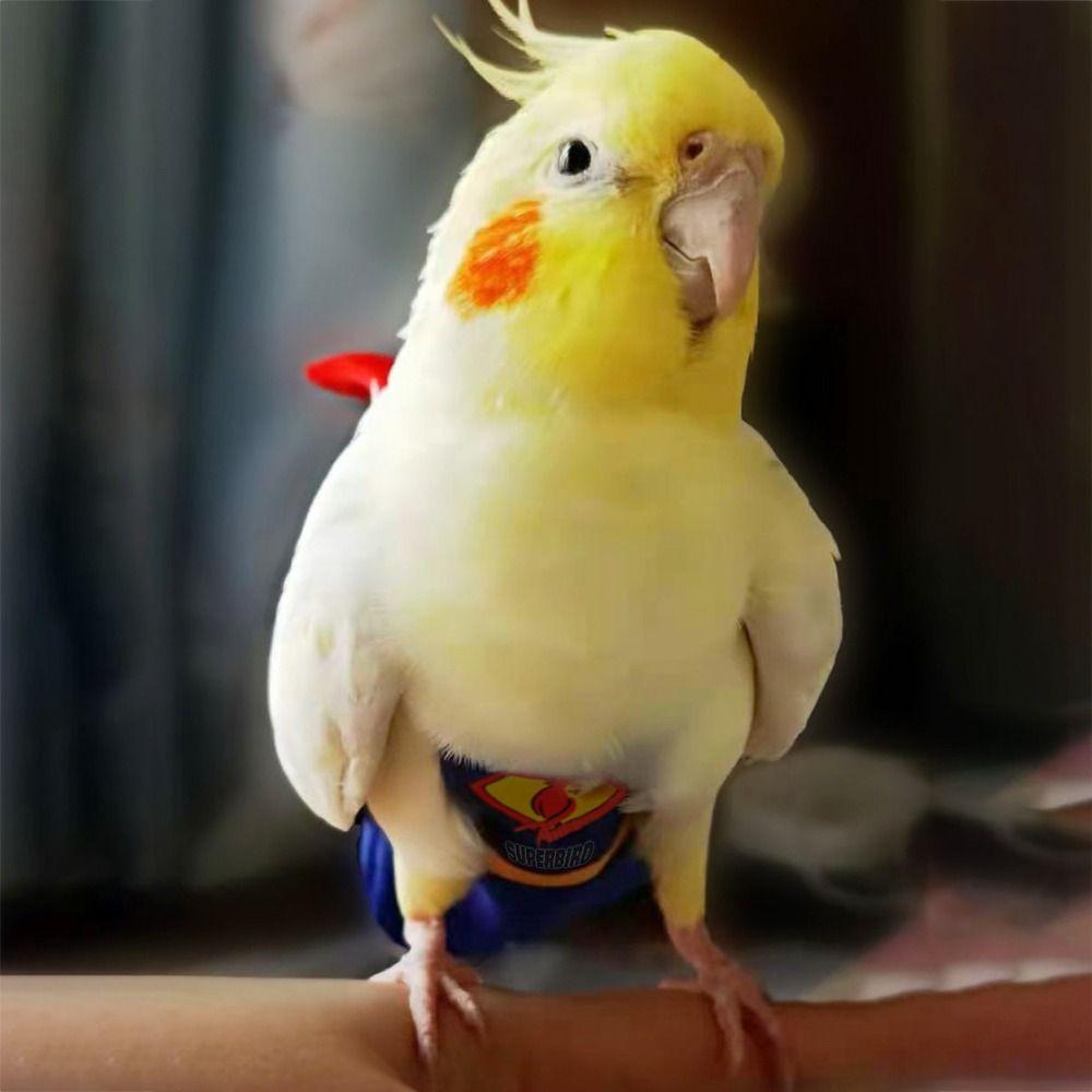 For Parakeet Cockatiel Pigeons Birds Clothes Parrot Diaper Parrot Urine Pants Birds Flight Suit