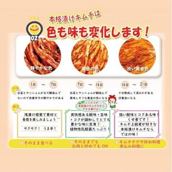 Chonggak Kimchi 415g Secret Recipe Yangnyeom Fermented Authentic Taste Lactic Acid Bacteria Small Radish Crunchy Texture Goes Well Rice Grilled Meat
