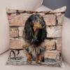 Mini Dachshund Cushion Cover Decor Pet Animal Pillowcase Sofa Home Children's Room Pillowcase